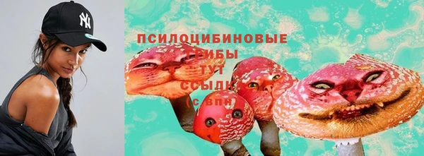 каннабис Алексеевка